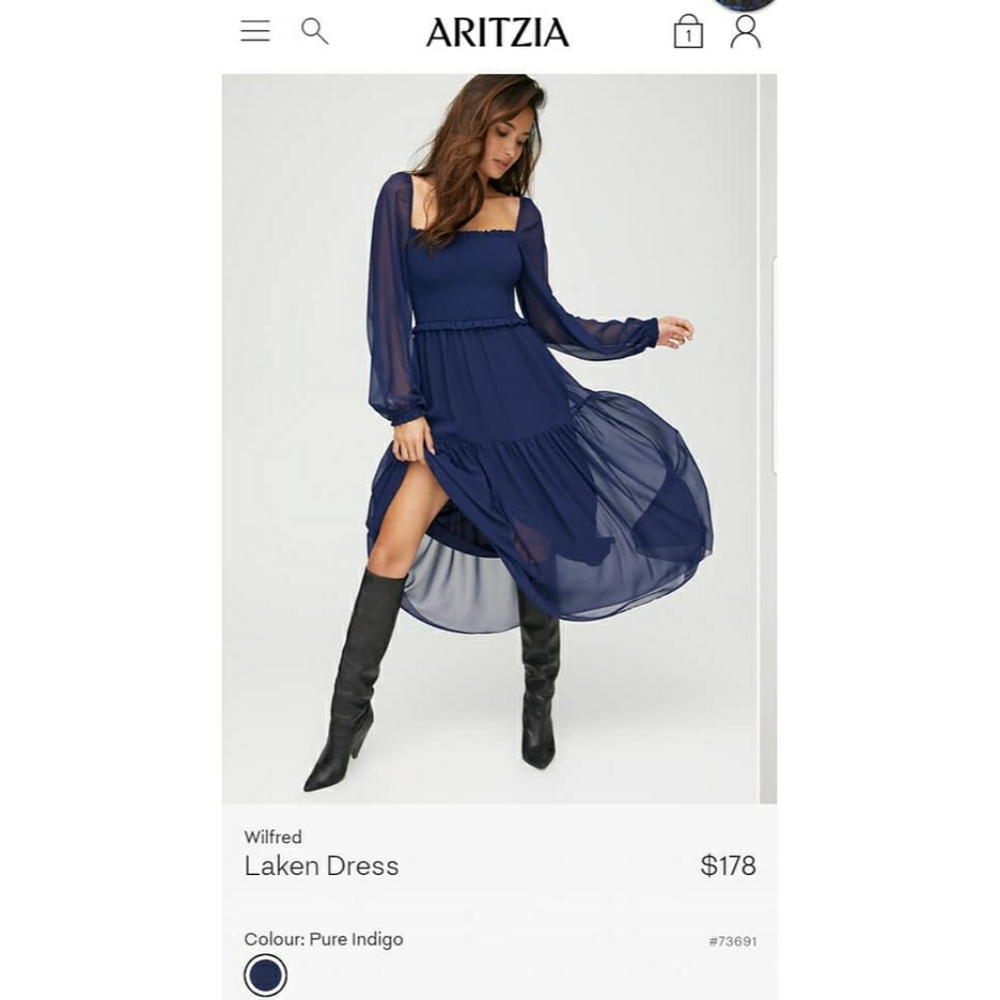 Aritzia dress